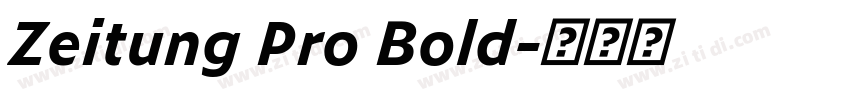 Zeitung Pro Bold字体转换